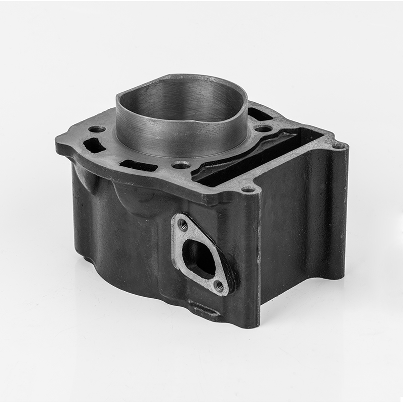 2v73 (φ72.5) serye ng cylinder ng cast na may suot na cylinder